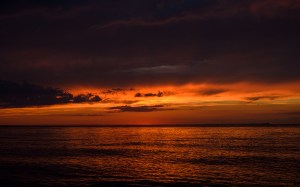 honoring-my-nikon-D7000 3