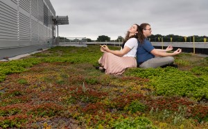 jessica and paul's engagement session 7